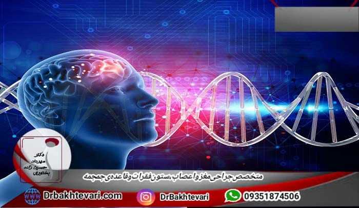 بیماری های ژنتیک مغز و اعصاب چیست؟