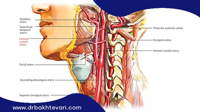 بیماری هایی که در ناحیه گردن و نخاع هستند