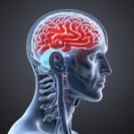 آنسفالیت مغزی چیست